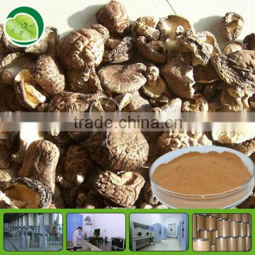 GMP factory dried shiitake mushroom powder