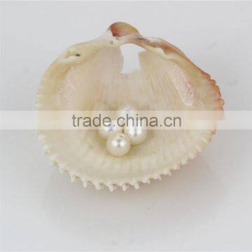 High Quality Pearl Beads Grade AA 4.5-5mm Round Freshwater Pearl Beads photo-4