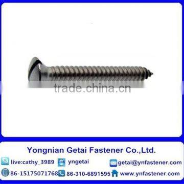 Galvanized pan head philips self tapping screw