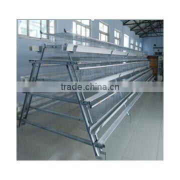 Poultry Cage/poultry Equipment