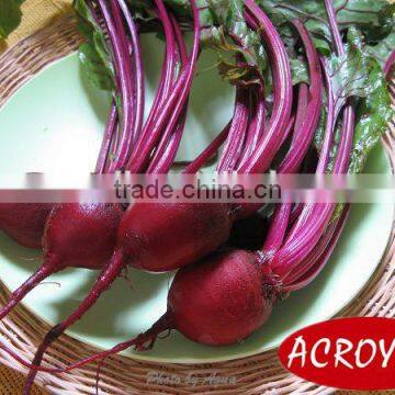 Canned Baby Beetroot Whole/Canned Food/Canned Vegetables