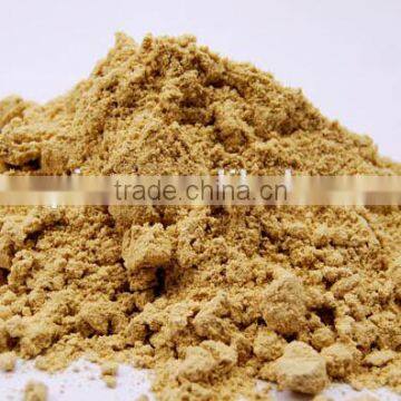 Guangxi Ginger Extract Powder