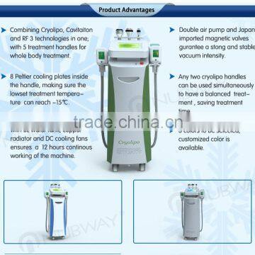 5 Treatment Handles Vacuum Cavitation System Beauty Equipment Laser Body Sculpting Machine for Whole Body Treatment photo-3