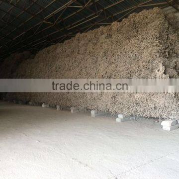Licorice Root Exporters From India photo-5