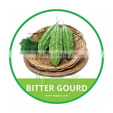 HIGH QUALITY FRESH BITTER GOURD // VIETNAMESE FRESH VEGETABLE