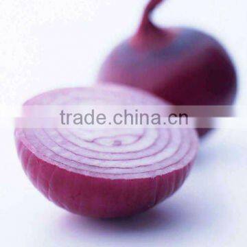 Chinese Fresh Shallot