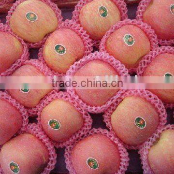 100 113 125 pcs china fuji apple