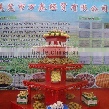 china fresh vegetable and fruits supplier