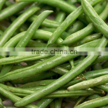 string or snap beans Seeds