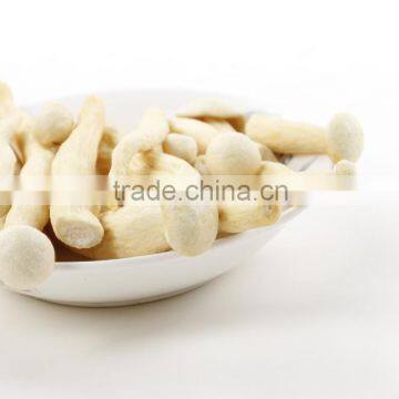 seafood mushroom chips/Mushroom Product Type healthy snack