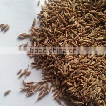 Cumin seed