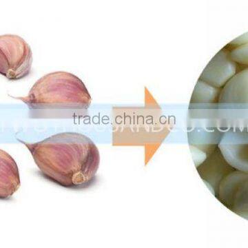 Garlic Dry Peeling Machine, Garlic-Peeling-Machine, Machine for Peeling Garlic With 150 KG/H photo-4