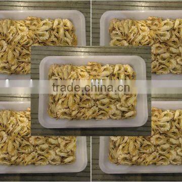 Dried tiger Shrimp Prawns for cuisine