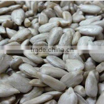 A sunflower kernels/yellow sunflower kernels for export