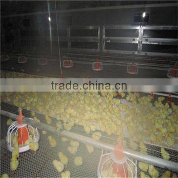 Poultry Farm Design Layout Automatic Broiler Feeding System Agricultural Equipment for Chicken House/Shed/Coop/Hangar/Barn