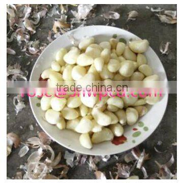 Electric Garlic Peeler/Automatic Garlic Peeling Machines /Small Garlic Peeler Machine with best price