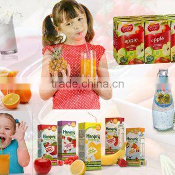 Neweek Electric or Steam Heating Pineapple Sterilization Mango Juice Sterilizing Machine