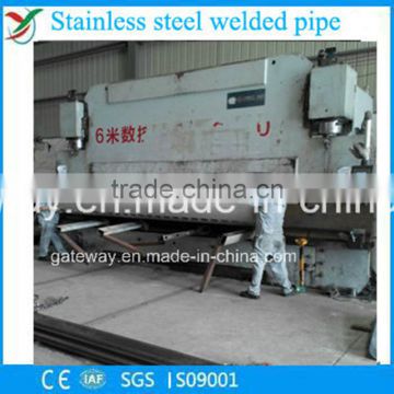 Stainless Steel Welded Pipe with Wp004