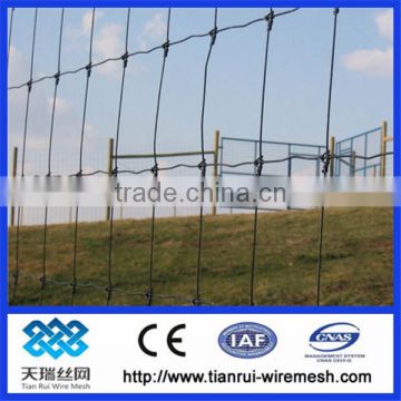 factory direct sale galvanized field fence