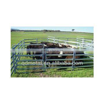 Portable Livestock Cattle Panel photo-3