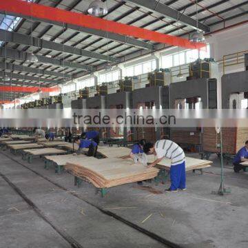 Standard/High quality Plywood production line