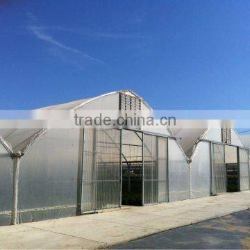 Multi span Greenhouse /Agricultural plastic poly film greenhouse for sale