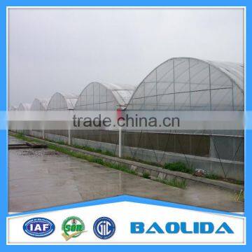 Multi Span Greenhouse /Invernadero For Vegetables photo-2
