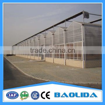 Multi Span Green Houses For Agriculture