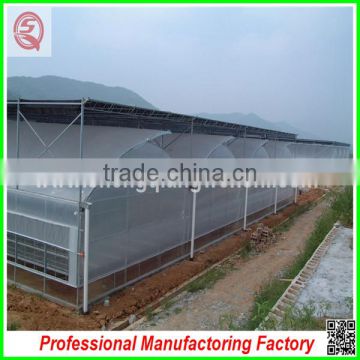 Hot sale multi-span plastic 9.6m PE plastic film agriculture greenhouse for garden