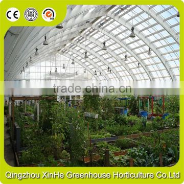 Cheapest Hot Sale Agricultural/Commercial Plastic Greenhouse