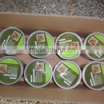 Best Selling Dried Mealworm For Wild Bird photo-5