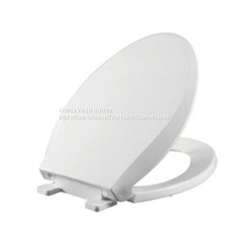 The Toilet Lid Thickens and the Toilet Seat Covers the Old Toilet Lid photo-5