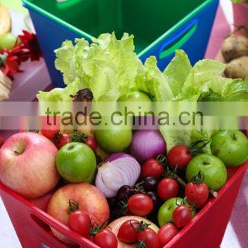 Wholesale Square Plastic Storage Basket With Handle/ Sundries Storage Basket With Handle photo-5