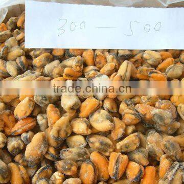 frozen boiled mussel meat