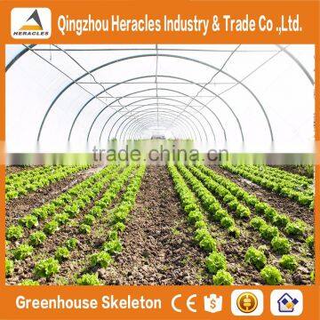Heracles Trade Assurance tunnel greenhouse