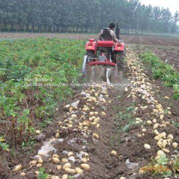 Potato Harvester