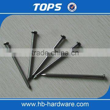 Concrete Nails Common Nail Iron Nail Factory photo-6