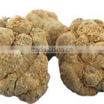 100% Natural Panax Pseudoginseng Notoginseng San Qi or Tian Qi photo-2