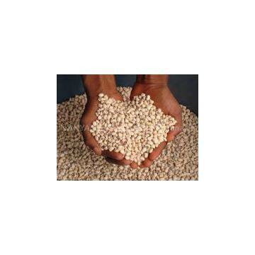 COWPEAS AND CHICKPEAS