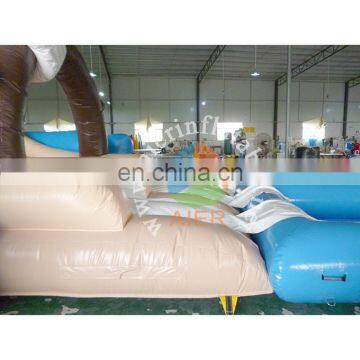 Funny Inflatable Pirate Water Slide for Kids&adult,giant Inflatable Water Slide, photo-4