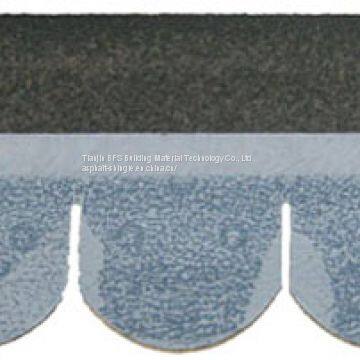 Scale Roofing Shingle photo-2