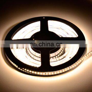 Relight SMD 2835 60LED/M Flexible Led Strip Lights, DC12V/24V, IP20/65 photo-2