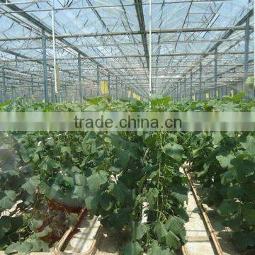 film greenhouse hot sale film greenhouse with high quality