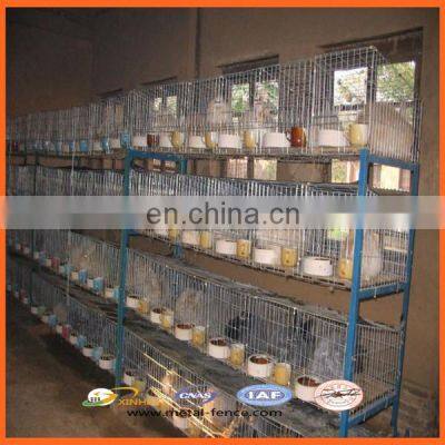 High Quality Galvanized Welded Rabbit Cage Wire Mesh/High Quality Rabbit Cage/Rabbit Farming Cage photo-4