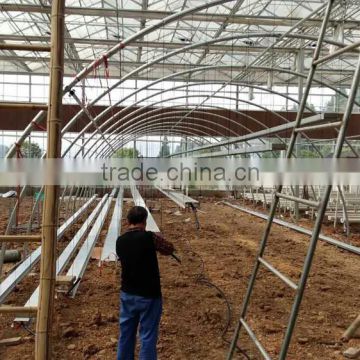 single span galvanized hoophouse