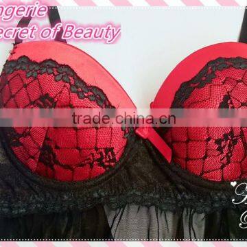 Sexy Women Lingerie, Bra Factory photo-4