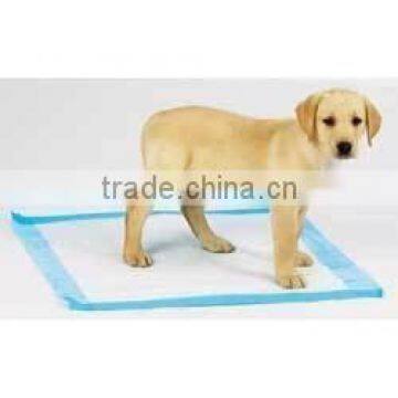 60*60cm puppy training pad