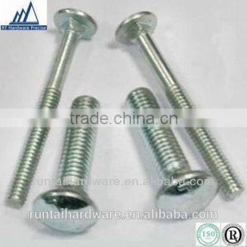 Din603 stainless stain znic plated carriage bolt for sale