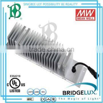 Meanwell Driver 60W DLC Canopy Led Light, Gas Station Led Canopy Lights With UL/CE/RoHS photo-2