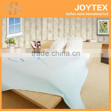 2013 fashion style double layers 100% Polyester Blanket